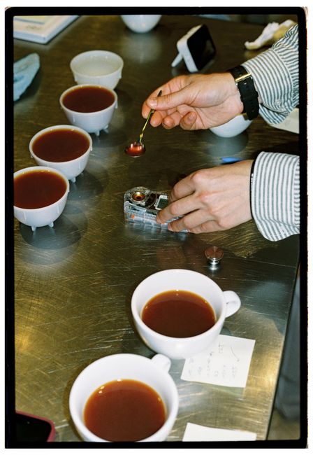 Cupping – ochutnávka kávy