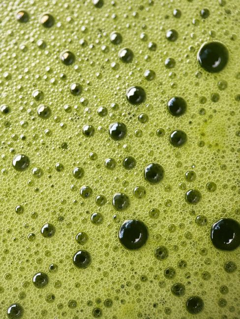 Japonská Sencha